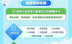 深国投2025校园招聘