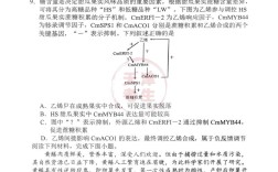 北辰区事业单位真题有哪些？