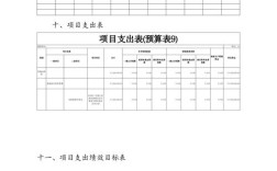 事业单位部门预算执行如何有效落地？