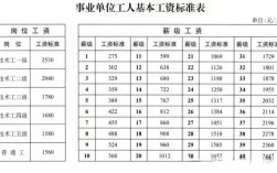 事业单位专业技术人员工资标准表如何确定？