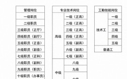 事业单位管理岗位分为几个等级