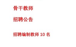 骨干教师招聘 2025