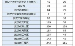 武汉事业单位总分多少？