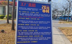 立维腾 东莞 校园招聘