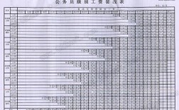 事业单位实行 工资制度