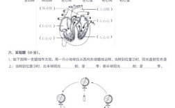 小学科学教师招聘试题答案怎么找？