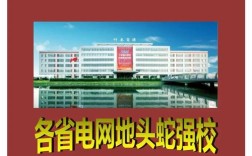 2007电网校招有何新变化与要求？