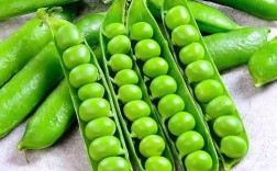 豌豆荚2025校园招聘