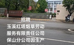 玉溪第一批事业单位招聘何时开始？