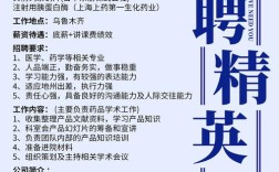 musically校招有何亮点？
