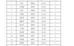 天心区教师招聘笔试成绩