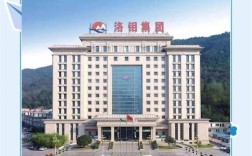 洛阳钼业校园招聘有哪些岗位？