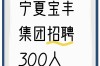 宁夏2025校招何时启动？有哪些岗位值得关注？