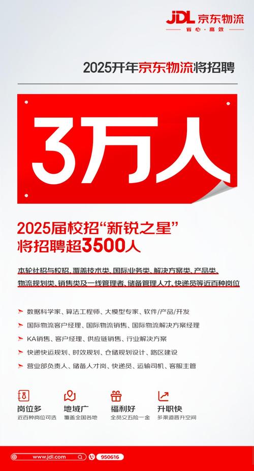 2025京东校招offer何时发？流程时间线是怎样的？-图3