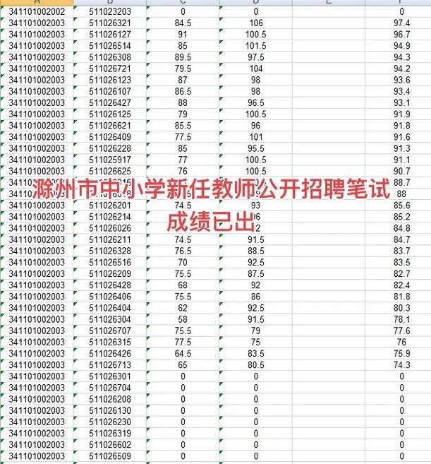 2025安徽教师招聘考试成绩排名何时公布？-图3