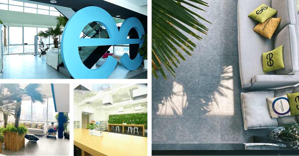 Freelwheel校招何时启动？岗位有哪些要求？-图1