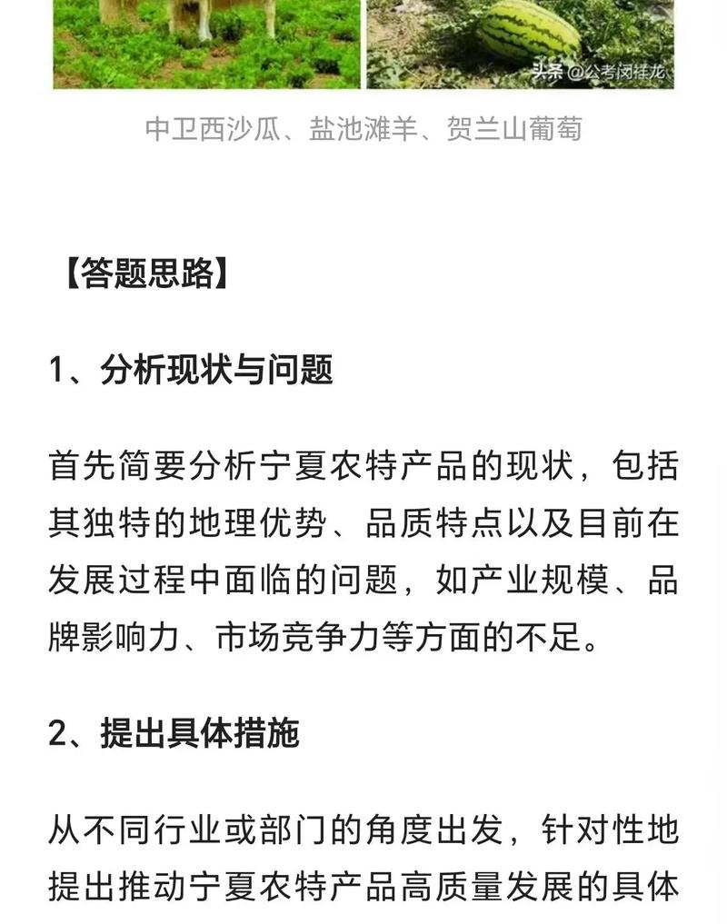 2025宁夏事业单位面试真题考什么？-图1