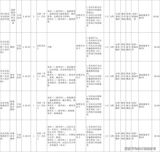 宜宾事业单位招聘2025岗位表-图2