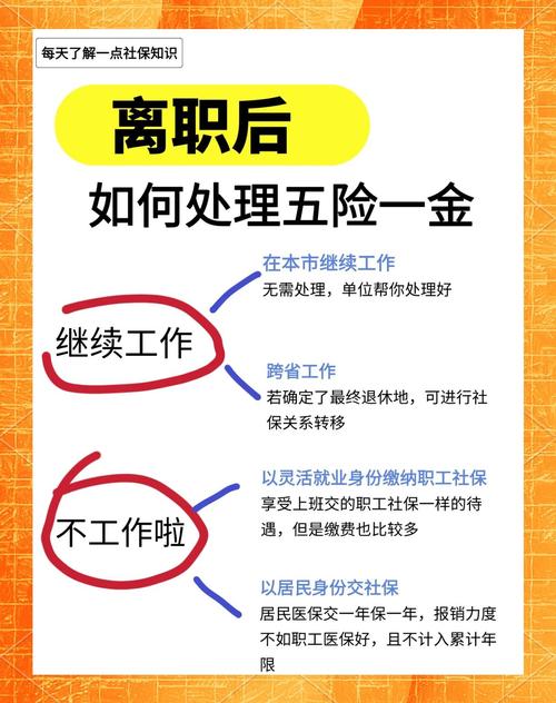 事业单位辞职后五险一金怎么办?-图1 事业单位辞职后五险一金怎么办?-图1