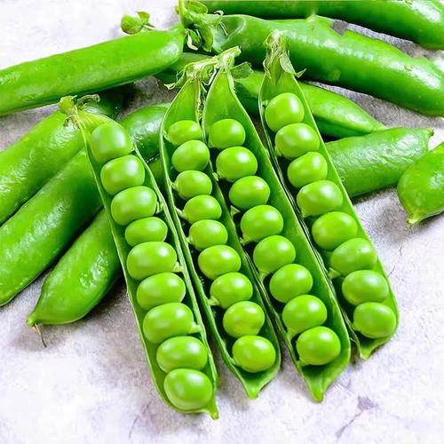 豌豆荚2025校园招聘-图1 豌豆荚2025校园招聘-图1