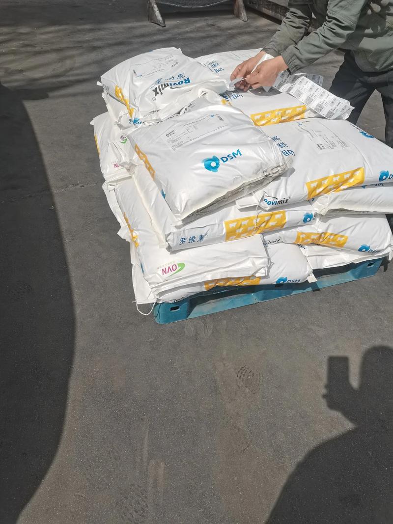 帝斯曼2025校招有何新亮点?-图2 帝斯曼2025校招有何新亮点?-图2