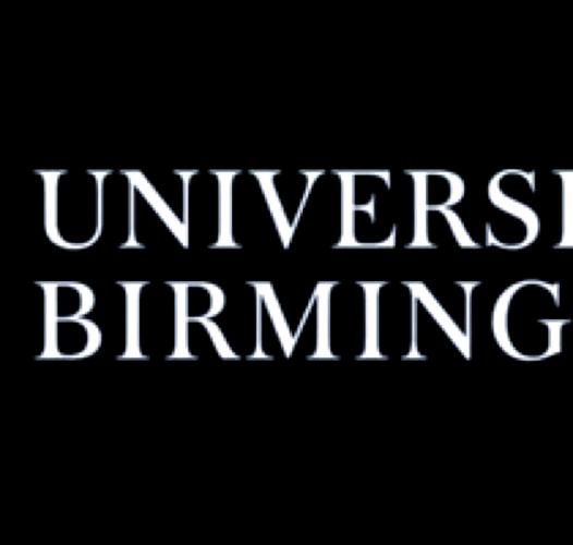 硕士进事业单位，伯明翰留学经历有何优势？-图1