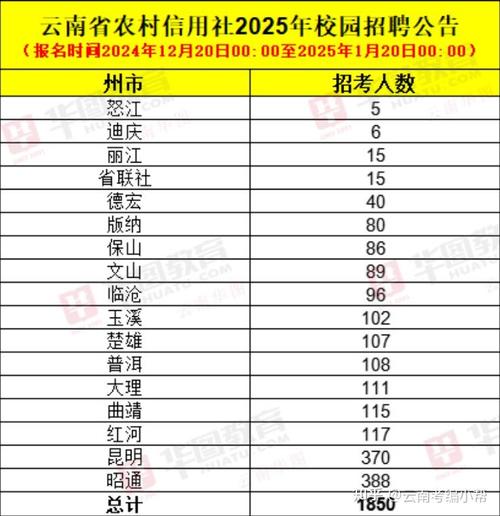 2025信用社校招何时开始？报考条件有哪些？-图3