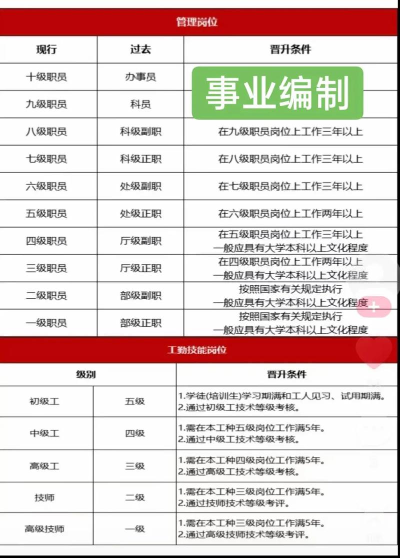 实行参照管理的事业单位有何特殊意义？-图2