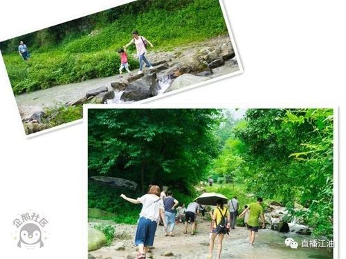 玛纳斯农夫山泉校园招聘-图3 玛纳斯农夫山泉校园招聘-图3