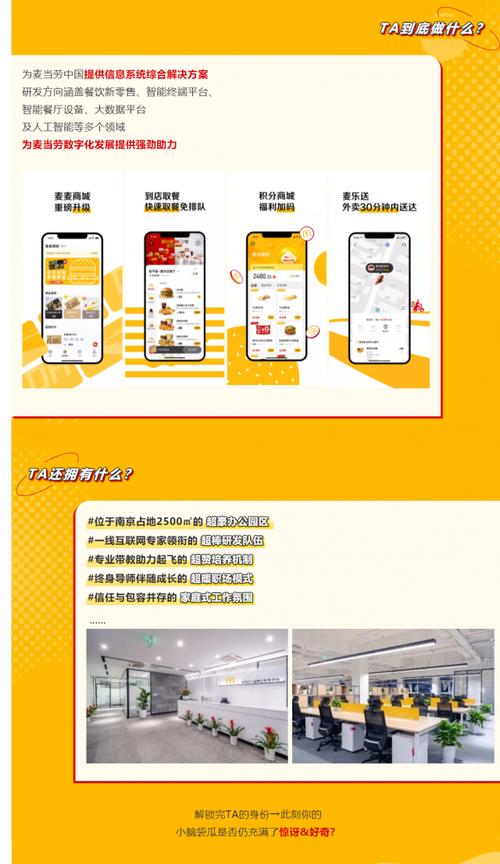 如何设计麦当劳校园招聘简章吸引人才？-图2