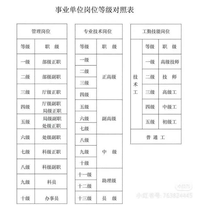 技术岗与管理岗，哪个更适合发展？-图1