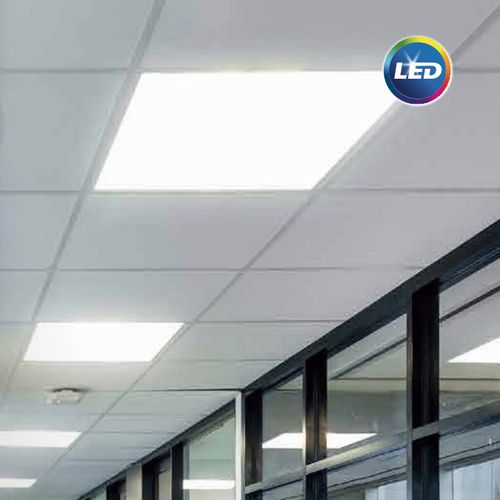 飞利浦照明校园招聘信息-图2